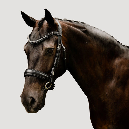 Arcadia Luxury Leather Bridle (Cavesson)