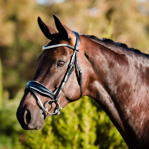 Adeline Italian Leather Bridle (Hanoverian)