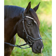 Load image into Gallery viewer, Azure Anatomic Italian Leather Bridle - Black