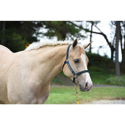 Custom Embroidered Nylon Super Halter