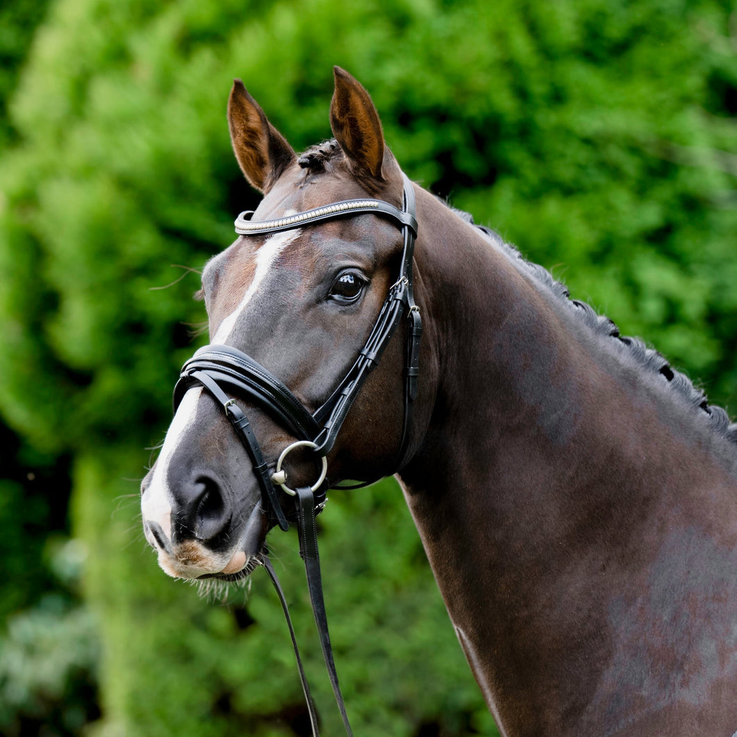 Melodie Patent Bridle (No reins)