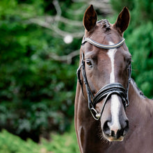 Load image into Gallery viewer, Melodie Patent Bridle (No reins)