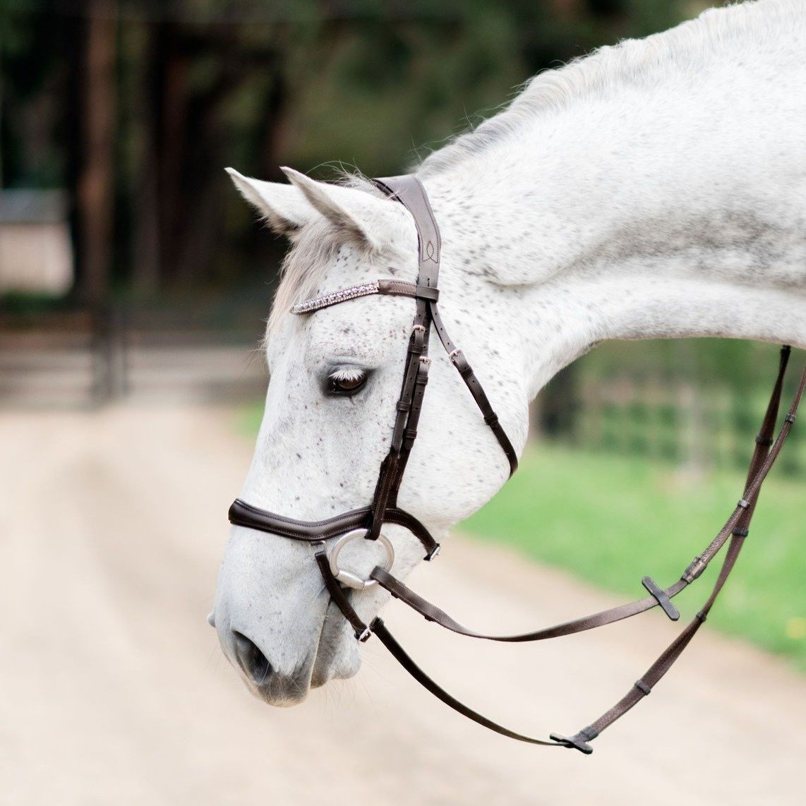 Mila Italian Leather Bridle (No reins)