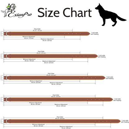 Fancy Stitch Padded Leather Dog Collar