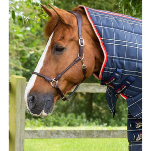 Domus 400g Combo Stable Rug