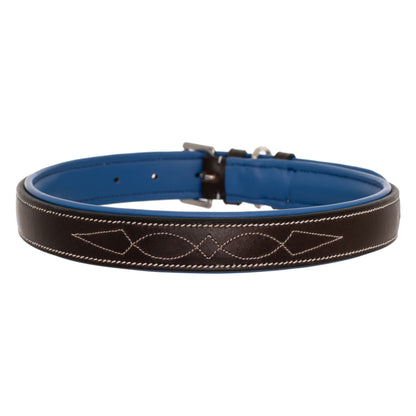 Fancy Stitch Padded Leather Dog Collar