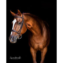 Load image into Gallery viewer, Fancy Stitch Padded Wave Cavesson Bridle