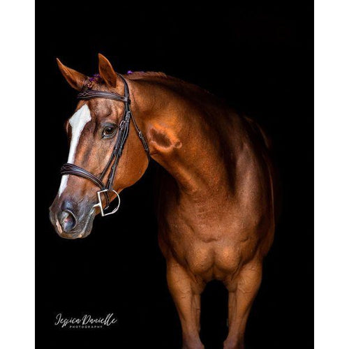Fancy Stitch Padded Wave Cavesson Bridle