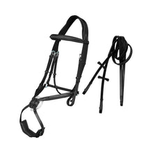Load image into Gallery viewer, Deluxe Fancy Stitch Padded Grackle Bridle