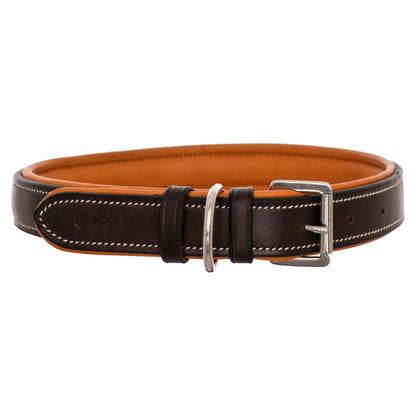Silver Snaffle Padded Leather Dog Collar