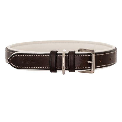 Fancy Stitch Padded Leather Dog Collar