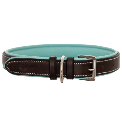 Fancy Stitch Padded Leather Dog Collar
