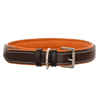 Fancy Stitch Padded Leather Dog Collar