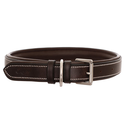 Fancy Stitch Padded Leather Dog Collar