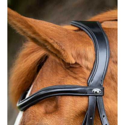 Glorioso Grackle Bridle (No reins)