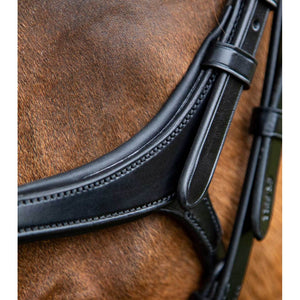 Glorioso Grackle Bridle (No reins)