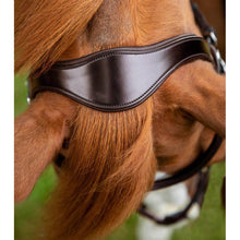 Load image into Gallery viewer, Glorioso Grackle Bridle (No reins)