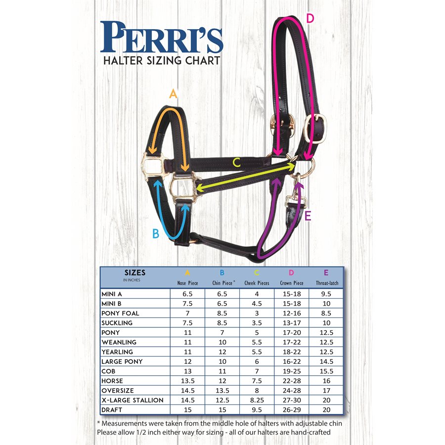 3/4" Premium Leather Show Halter w/plate