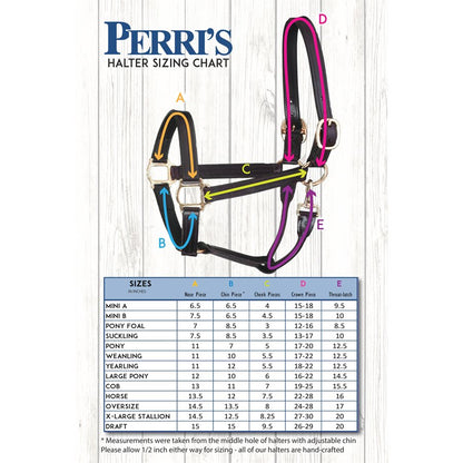 Professional Leather Show Halter