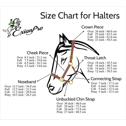 Triple Stitched Padded Leather Halter