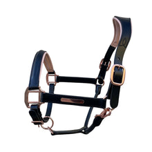 Load image into Gallery viewer, Hollywood Leather Halter
