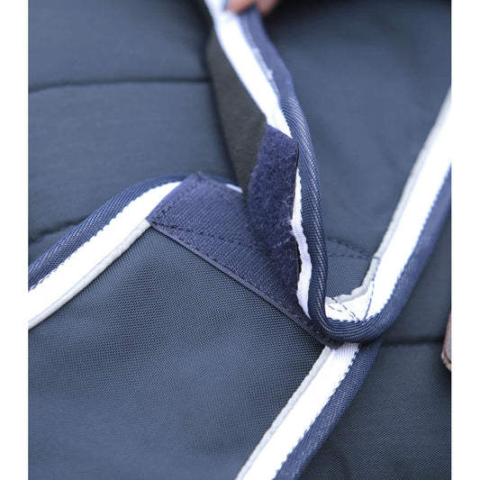 Horse Exercise Sheet