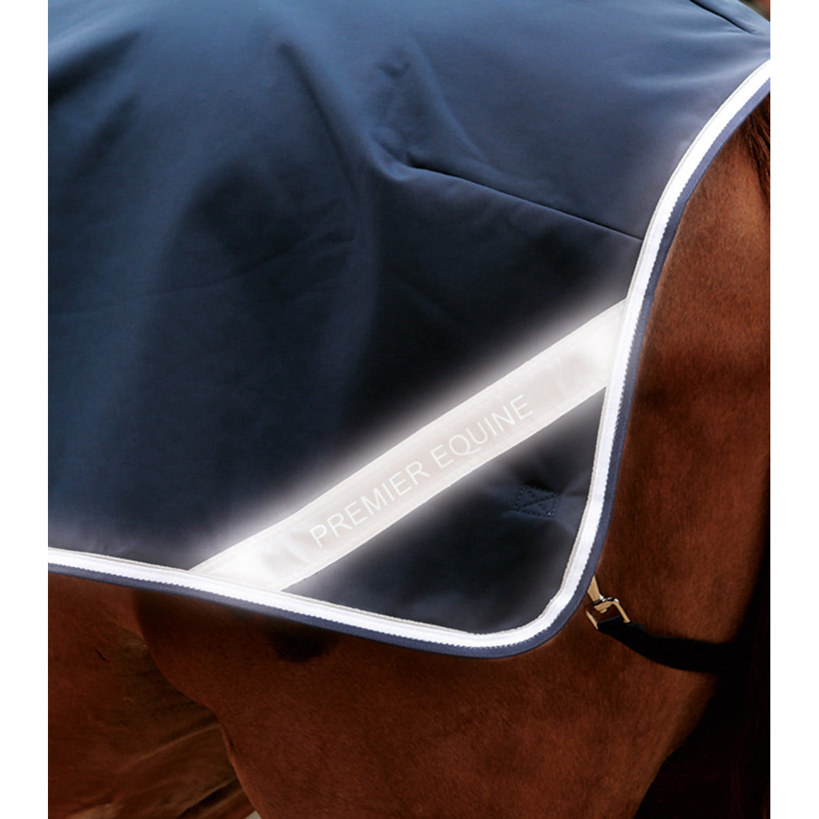 Horse Exercise Sheet