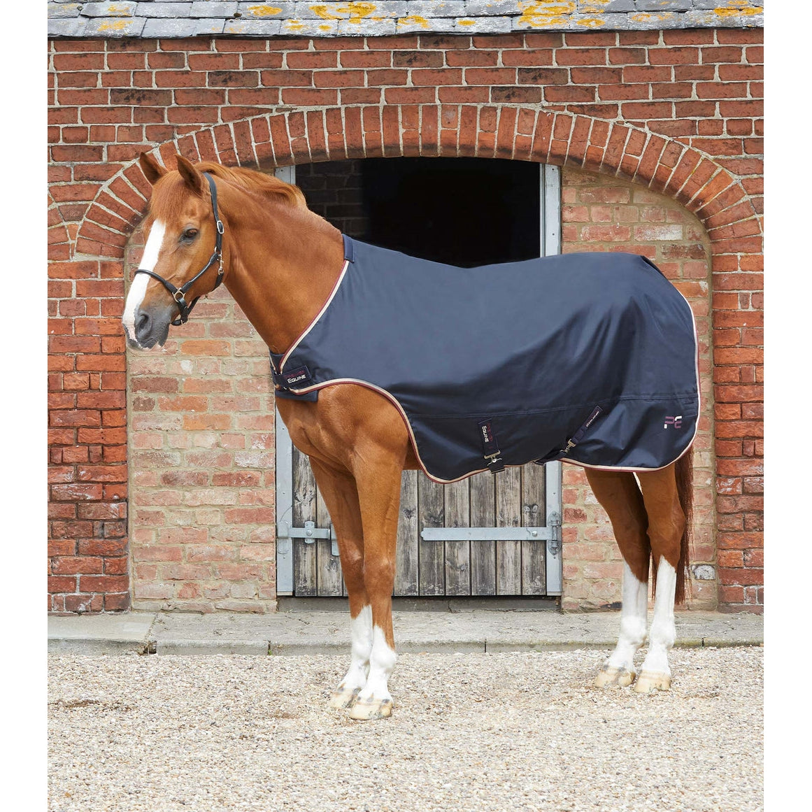 Horse Walker Rug 0g - Navy