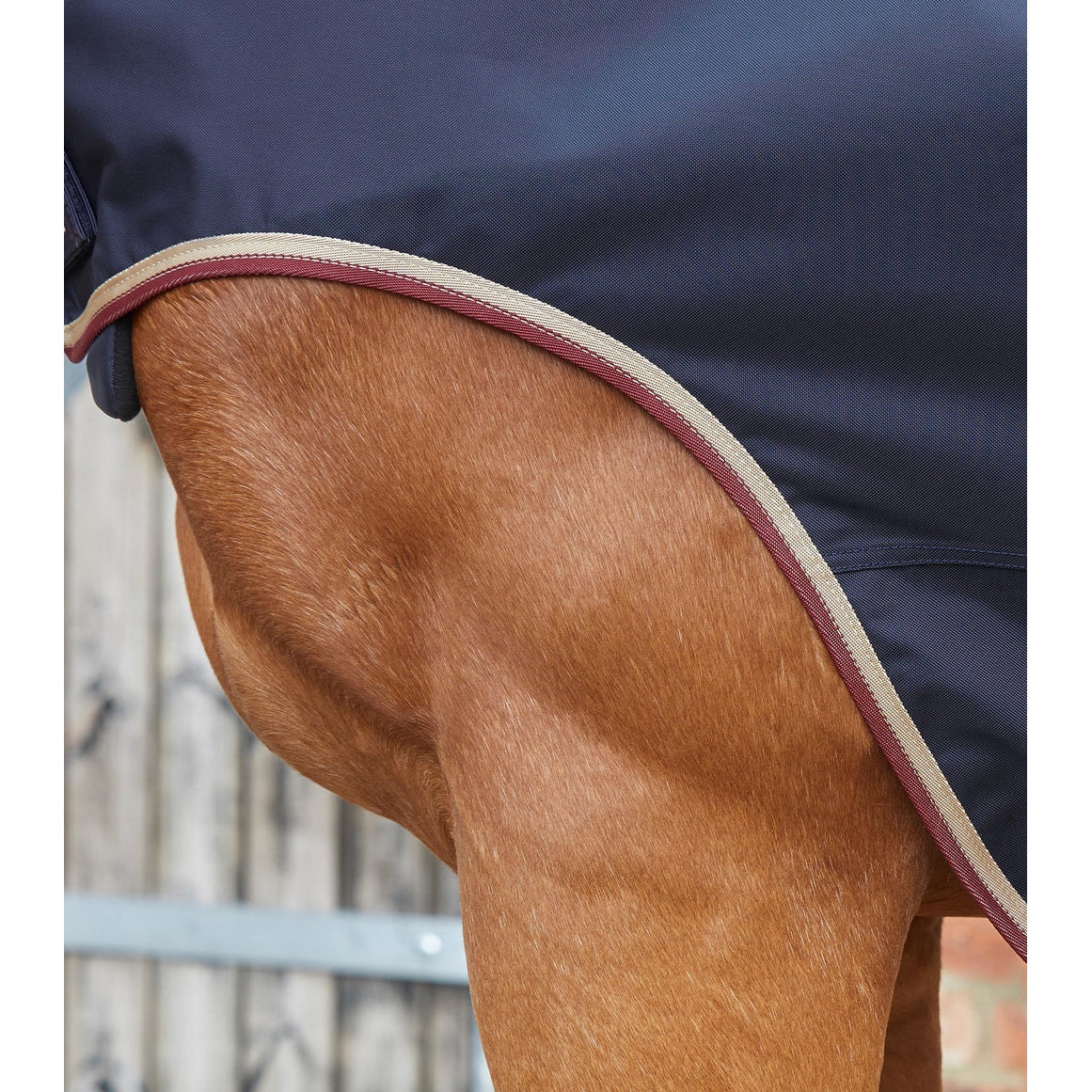 Horse Walker Rug 0g - Navy