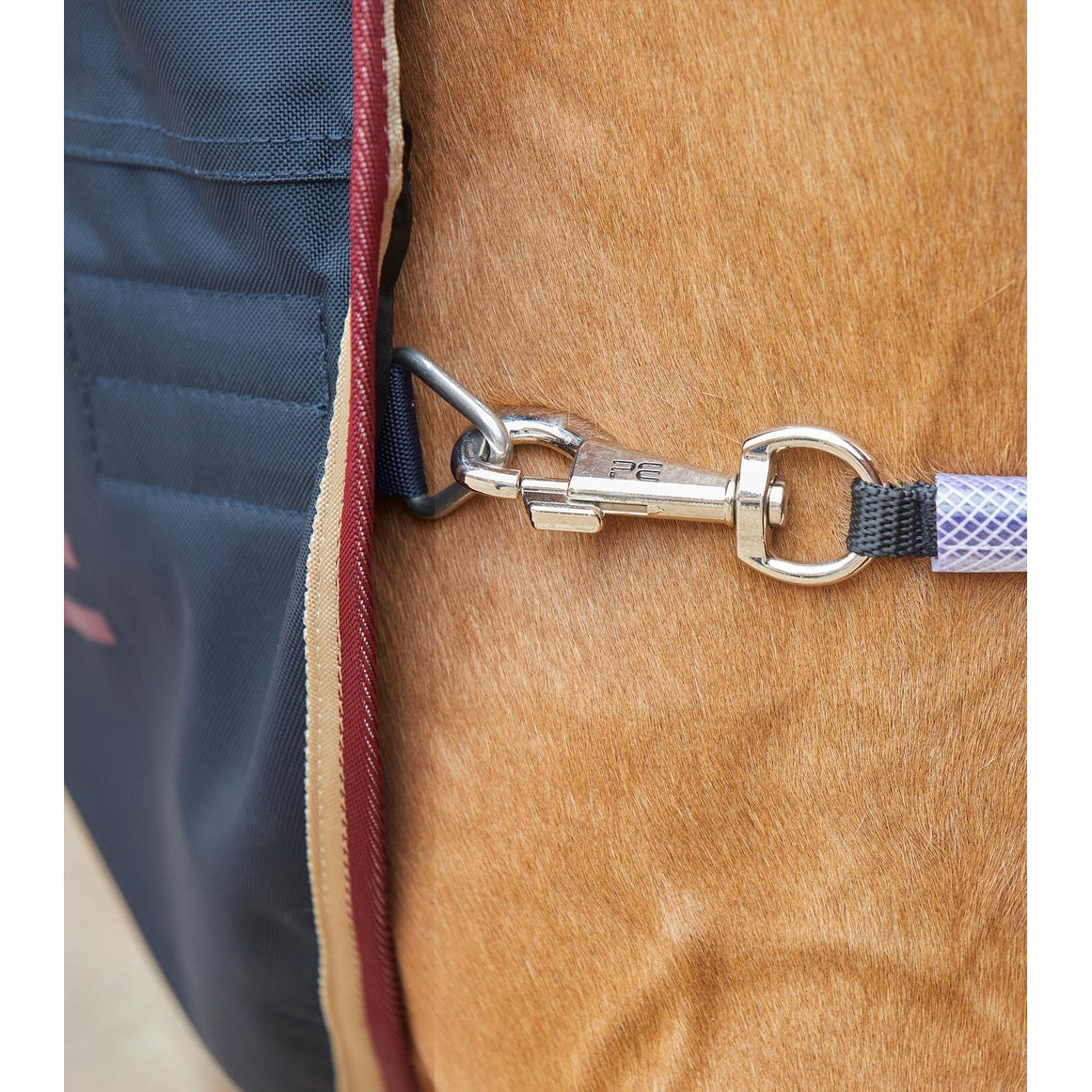 Horse Walker Rug 0g - Navy