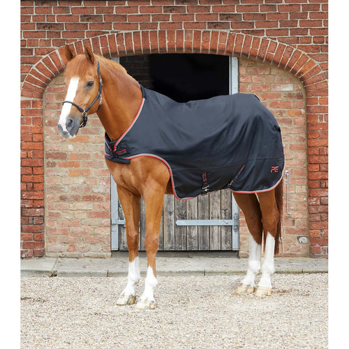 Horse Walker Rug 100g