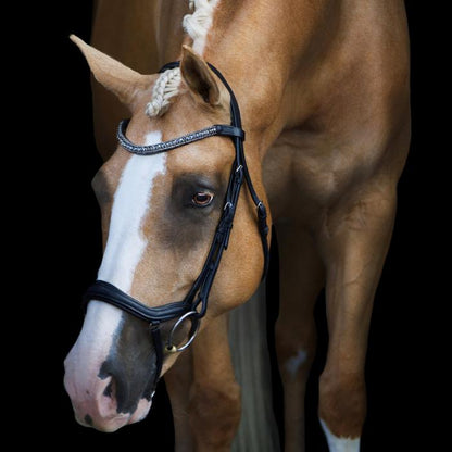 Mila Italian Leather Bridle (No reins)