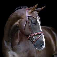 Load image into Gallery viewer, Arabella Italian Leather Bridle (Hanoverian)