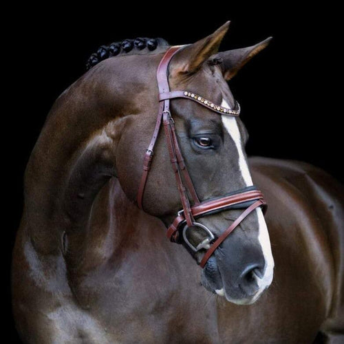 Arabella Italian Leather Bridle (Hanoverian)