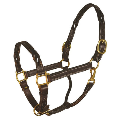Havana Twisted Leather Halter