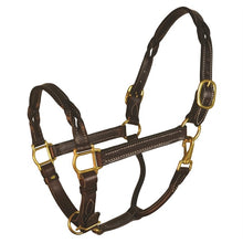 Load image into Gallery viewer, Havana Twisted Leather Halter