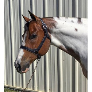 Western Crocodile Embossed Leather Show Halter