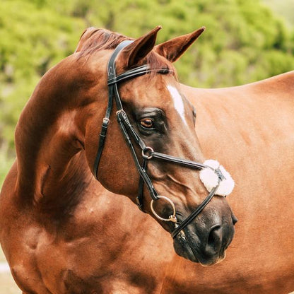Ava Grackle Bridle (With Sheepskin) (No reins)