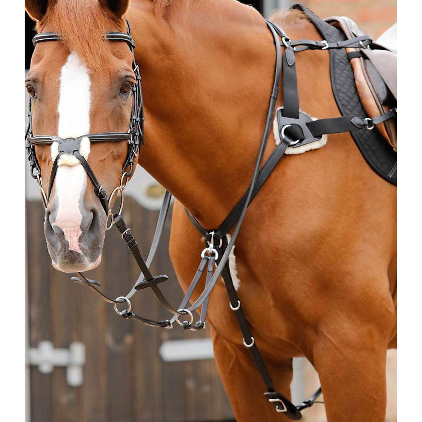 Invorio 5 Point Breastplate