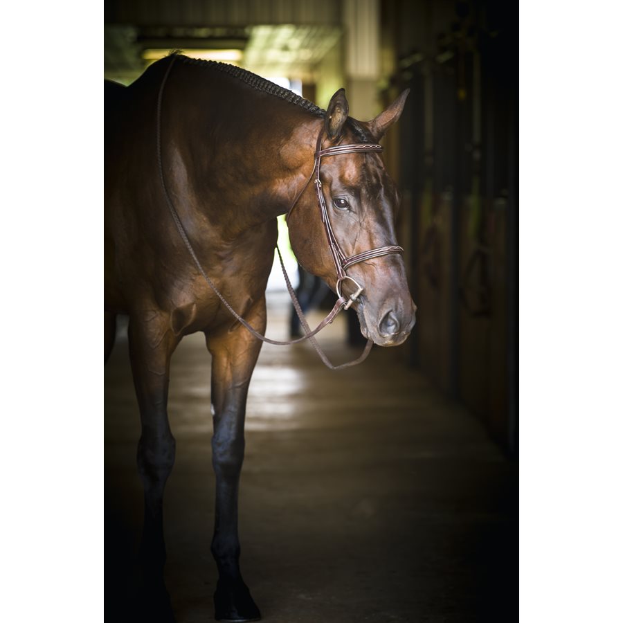 Professional Fancy Stitched Bridle