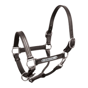 Premium 1" Leather Show Halter w/plate