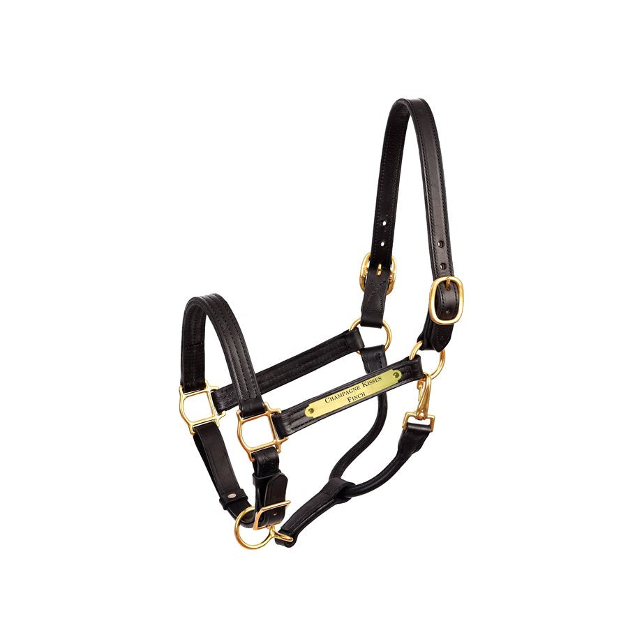Premium 1" Leather Show Halter w/plate