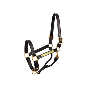 Premium 1" Leather Show Halter w/plate