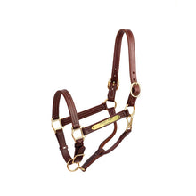 Load image into Gallery viewer, Premium 1&quot; Leather Show Halter w/plate