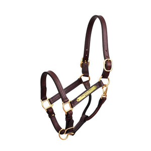 Premium 1" Leather Show Halter w/plate