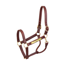 Load image into Gallery viewer, Professional Leather Show Halter w/plate