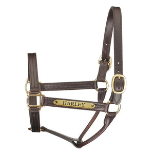 Premium Leather Track Style Show Halter w/plate