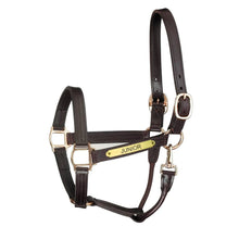 Load image into Gallery viewer, Premium Leather Track Style w/snap Halter w/plate