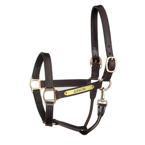 Premium Leather Track Style w/snap Halter w/plate