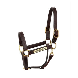 Heavy Duty Havana Leather Track Halter w/snap & plate